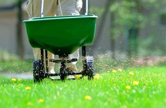 Lawn and Turf