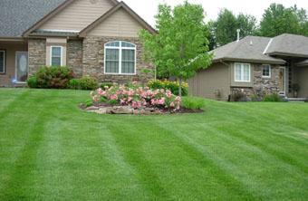 Lawn and Turf