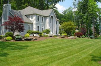 Lawn and Turf