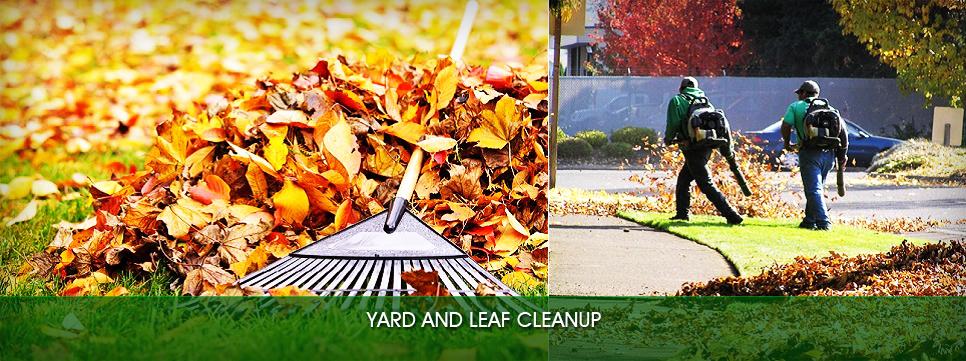 A yard and leaf cleanup with leaves on the ground